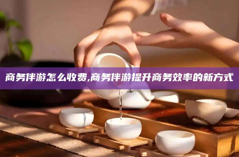 那曲商务伴游怎么收费,商务伴游提升商务效率的新方式