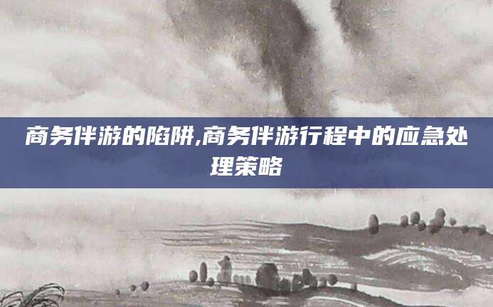 那曲商务伴游的陷阱,商务伴游行程中的应急处理策略